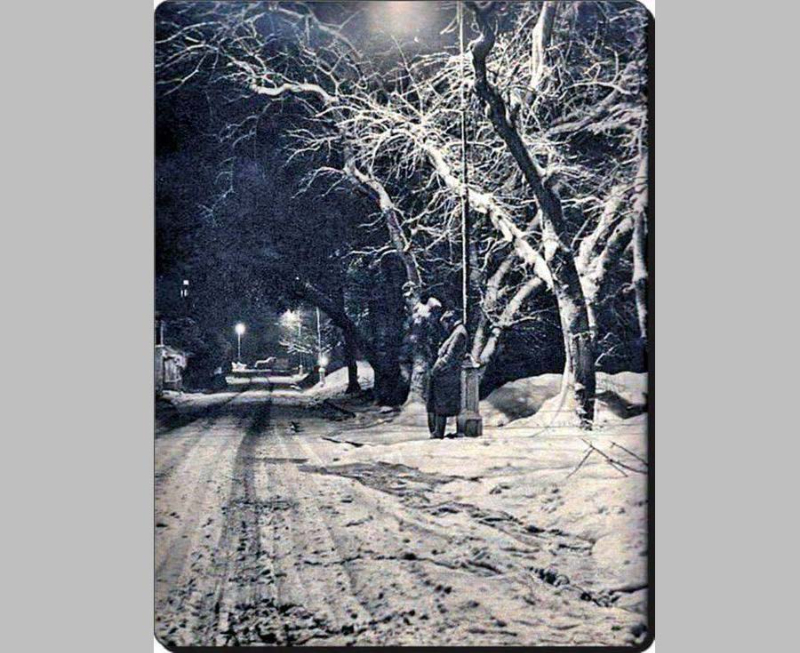 1954 - İstanbul'da yaşanan büyük kış mevsimi 55